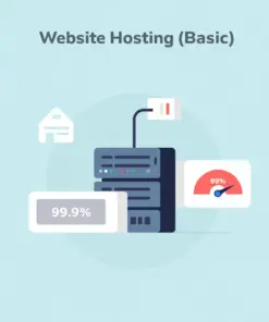 5.webp